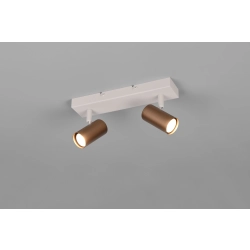 TARYN – R86852065 excl. 2x GU10 · max. 5W TRIO