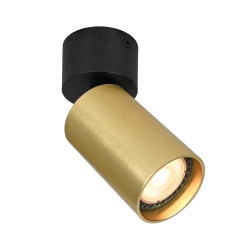 Spot Nesto SPL-23436-1R-BK-BRSS Italux