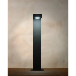 Lampa stojąca TEXAS LED 1x6W 3000K IP54 28851/40/30 Anthracite Lucide - zdjęcie dodatkowe 1