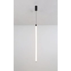 kinkiecik.pl Lampa wisząca Ray P022PL-L20B3K Maytoni