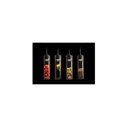 GARNISH wisząca szkło przezroczyste/chrom 230V GU10 9W R11756 Rendl light studio - zdjęcie produktu