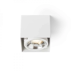 kinkiecik.pl JAMES I DIMM sufitowa matowa biała 230V LED 15W 24° 3000K R13361 Rendl light studio