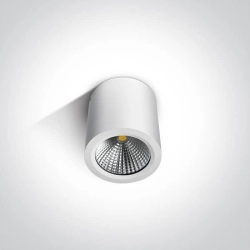 kinkiecik.pl Plafon COB Outdoor Ceiling Cylinders 67380/W/W ONE LIGHT