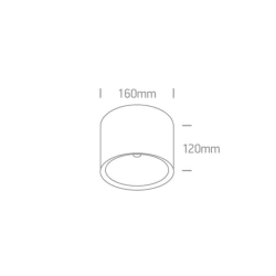 kinkiecik.pl Plafon COB Outdoor Ceiling Cylinders 67380A/W/W ONE LIGHT