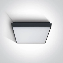 kinkiecik.pl Plafon Outdoor Slim LED Plafo Die cast 67363A/AN/W ONE LIGHT