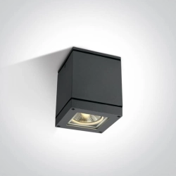 kinkiecik.pl Plafon PAR30 Outdoor Cubes Die cast 67132D/AN ONE LIGHT