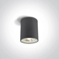 kinkiecik.pl Plafon PAR30 Outdoor Cylinders Die cast 67132C/AN ONE LIGHT