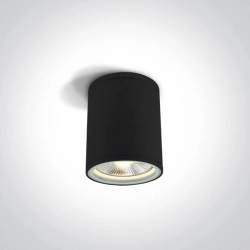 kinkiecik.pl Plafon PAR30 Outdoor Cylinders Die cast 67132C/B ONE LIGHT