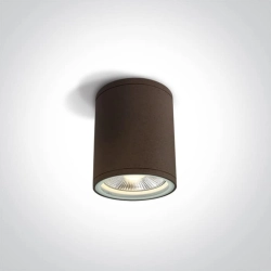 kinkiecik.pl Plafon PAR30 Outdoor Cylinders Die cast 67132C/BR ONE LIGHT