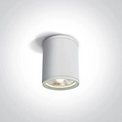kinkiecik.pl Plafon PAR30 Outdoor Cylinders Die cast 67132C/W ONE LIGHT