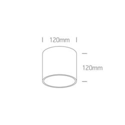 kinkiecik.pl Plafon R111 GU10 Ceiling Lights 12144/W ONE LIGHT