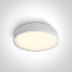 kinkiecik.pl Plafon The LED Project Plafo Metal 62150D/W/W ONE LIGHT