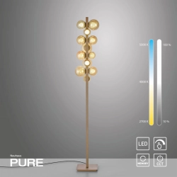 Lampa podłogowa E-POPUP BRĄZOWY 557-97 Paul Neuhaus - zdjęcie produktu