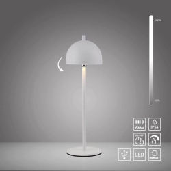 Lampa stołowa BELLIS 19244-16 Paul Neuhaus by Zuma Line