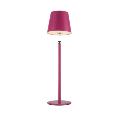 Lampa stołowa BOTERIA 19251-87 Paul Neuhaus by Zuma Line