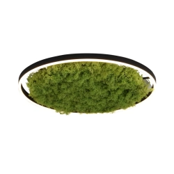 Lampa sufitowa GREEN RITUS 15392-66 Paul Neuhaus
