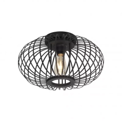 Lampa sufitowa RACOON 11410-18 Paul Neuhaus