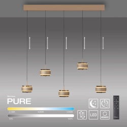 Lampa wisząca PURE FALLING RINGS 2504-97 Paul Neuhaus by Zuma - zdjęcie produktu