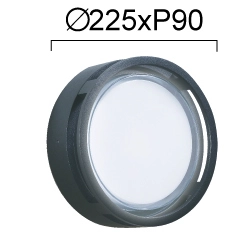Kinkiet zewnętrzny CALVIA LNV0081234 Lunaveri