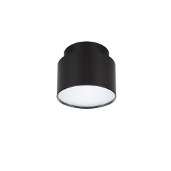 Plafon DECORIO LNV1049724 Lunaveri