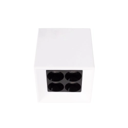 Lampa Sufitowa X-Line 5W Biała C0251 MaxLight - zdjęcie produktu