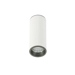 Plafon Moldes Medium WH/GR Ceiling 3000K SLC7391/7W 3000K WH+GR Italux - zdjęcie produktu