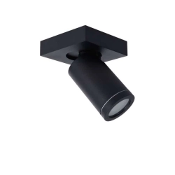 Plafon TAYLOR 09930/05/30 Lucide IP44 - zdjęcie produktu