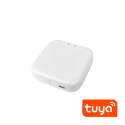 Centralka/Bramka Zdalnego Sterowania Tuya FUT089DL 1330DL DOMENO LIGHTING - zdjęcie produktu