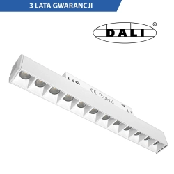 Lampa magnetyczna DDCX-GS12-220 12W DALI biały 1489DL DOMENO LIGHTING - zdjęcie produktu Lampa magnetyczna DDCX-GS12-220 12W DALI biały 1489DL DOMENO LIGHTING - zdjęcie produktu