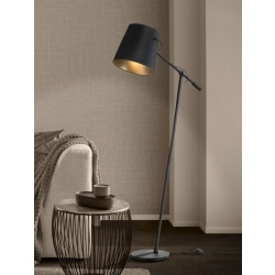 GRANADILLOS Lampa podłogowa 39867 EGLO - zdjęcie produktu