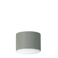 Plafon/Spot TUBO S szałwia 41525 Sigma - zdjęcie produktu