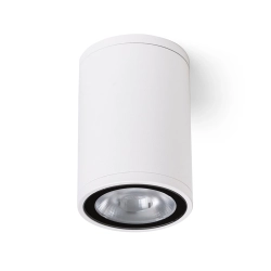Plafon KORNELIA 5 R14378 Rendl light studio
