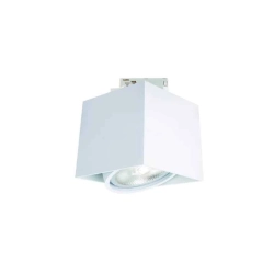 kinkiecik.pl Reflektor szynowy Cardi Bianco Mobile Track ORLICKI