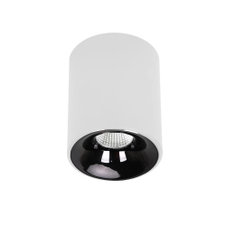 Oprawa natynkowa Tom biała LED CCT LP-4848/1RM WH Light Prestige