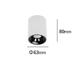 Oprawa natynkowa Tom biała LED CCT LP-4848/1RM WH Light Prestige