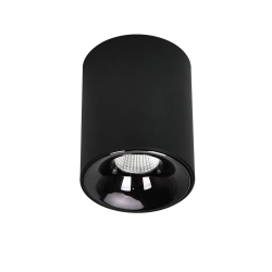 Oprawa natynkowa Tom czarna LED CCT LP-4848/1RM BK Light Prestige