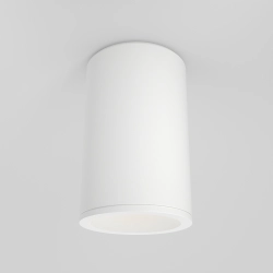 Plafon Zoom C029CL-01-S-W IP65 Maytoni - zdjęcie produktu