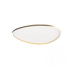 23213 CEILING LIGHT LED LIGHT 58W 3000K GOLD FOR INDOOR SPACES Zambelis Lights