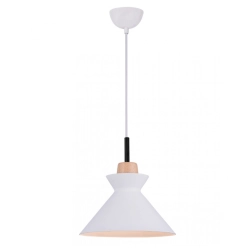 180066 PENDANT LIGHT 1XE27 40W Zambelis Lights