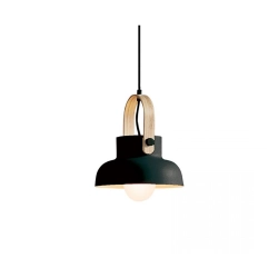 18191 PENDANT BLACK MATT 1xE27 40W Zambelis Lights