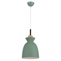 180065 PENDANT LIGHT 1XE27 40W Zambelis Lights