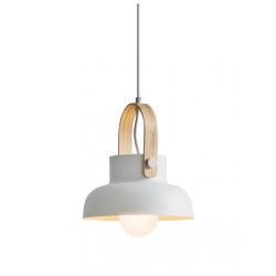 18190 PENDANT WHITE MATT 1xE27 40W Zambelis Lights