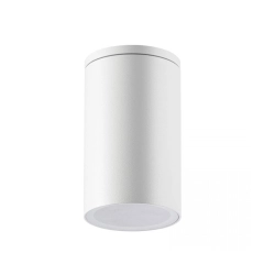 E220 OUTDOOR CEILING LIGHT 1XGU10 WHITE IP54 Zambelis Lights