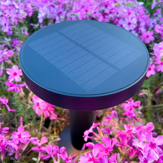 Lampa solarna CARLI DT33611 ZUMA LINE