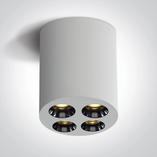 The Dark Light Ceiling Lights 12110H/W/W ONE LIGHT