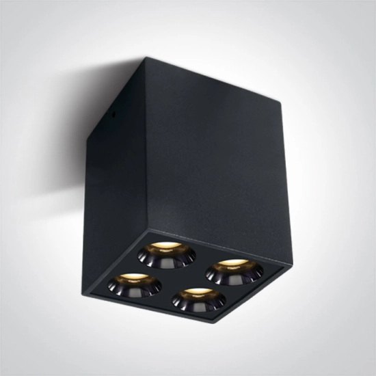 The Dark Light Ceiling Lights 12110HB/B/W ONE LIGHT