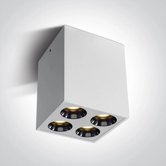 The Dark Light Ceiling Lights 12110HB/W/W ONE LIGHT