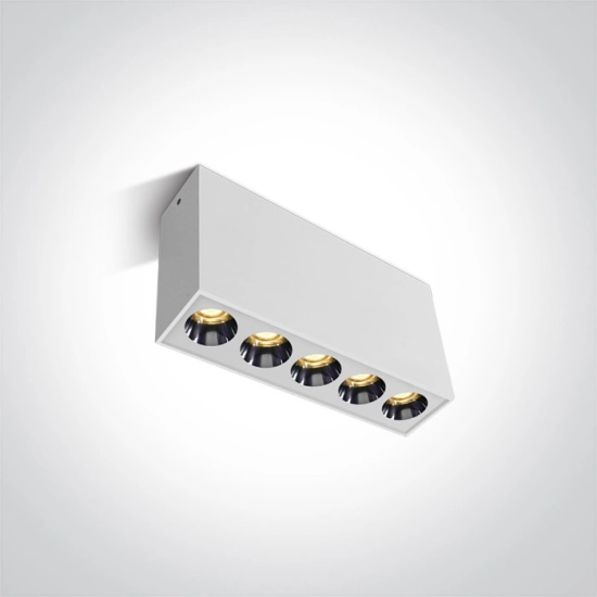The Dark Light Ceiling Lights 12112H/W/W ONE LIGHT