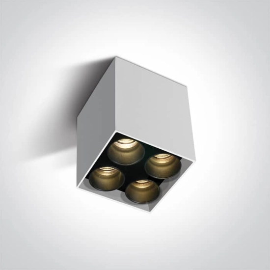 kinkiecik.pl Filona 4 12406C/W/W biała oprawa sufitowa SMD LED 10W 3000K dark light; zasilacz LED 700mA w zestawie ONE L