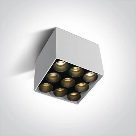 kinkiecik.pl Filona 9 12906C/W/W biała lampa sufitowa SMD LED 20W 3000K; w komplecie z zasilaczem LED 700mA ONE LIGHT
